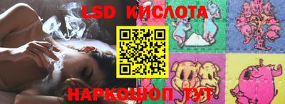 гашик Жуковский