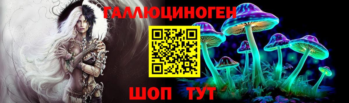 Щёлково  Галлюциногенные грибы Psilocybe  Вход с VPN 