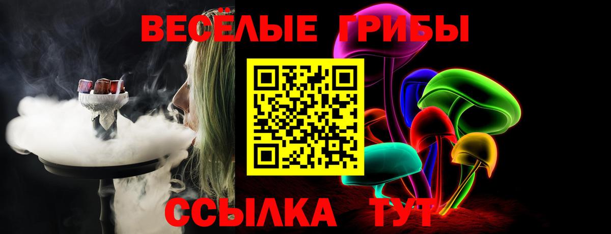 Галлюциногенные грибы Psilocybe Щёлково